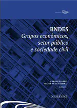 BNDES:grupos econômicos, setor público e sociedade civil (Capítulo 1)