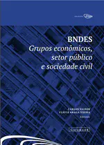 BNDES: grupos econômicos, setor público e sociedade civil (Capítulo 1)